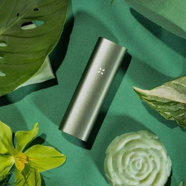 Pax 3 Verdampfer