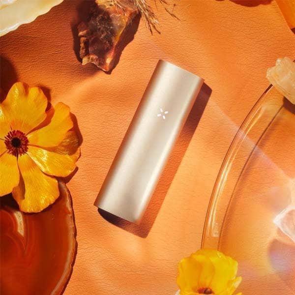 Pax 3 Verdampfer