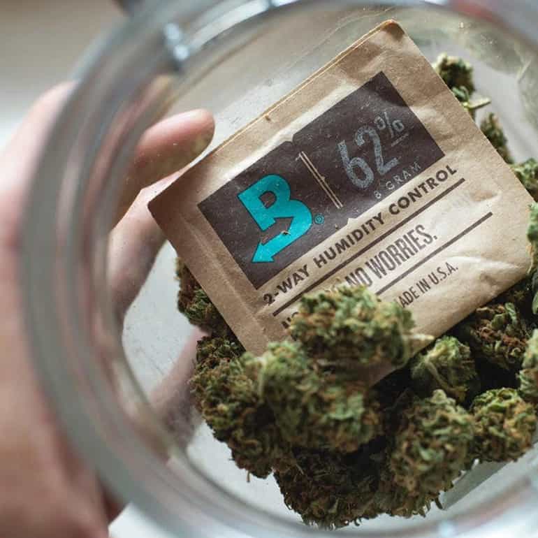 62-boveda-4-gram-pack-uk-individually-overwrapped