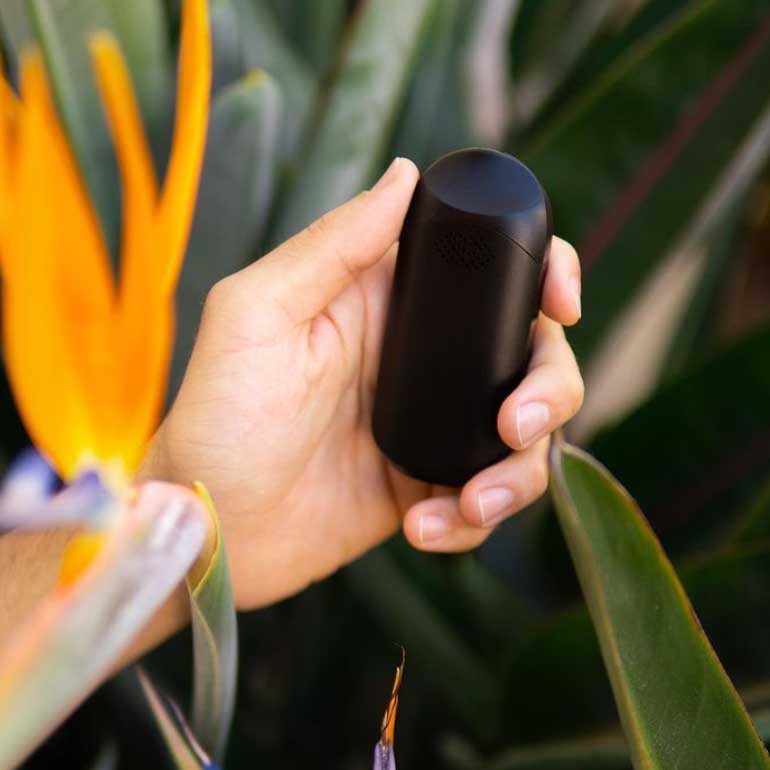 Flowermate Cap Pro in hand black