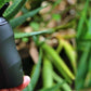 Boundless Tera Vaporizer