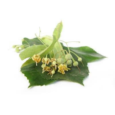 Linden flowers BIO - 15g