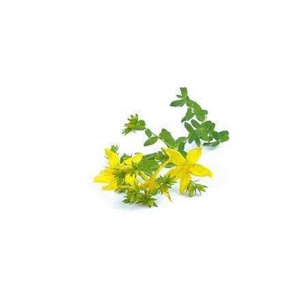 St. John's Wort BIO - 15g